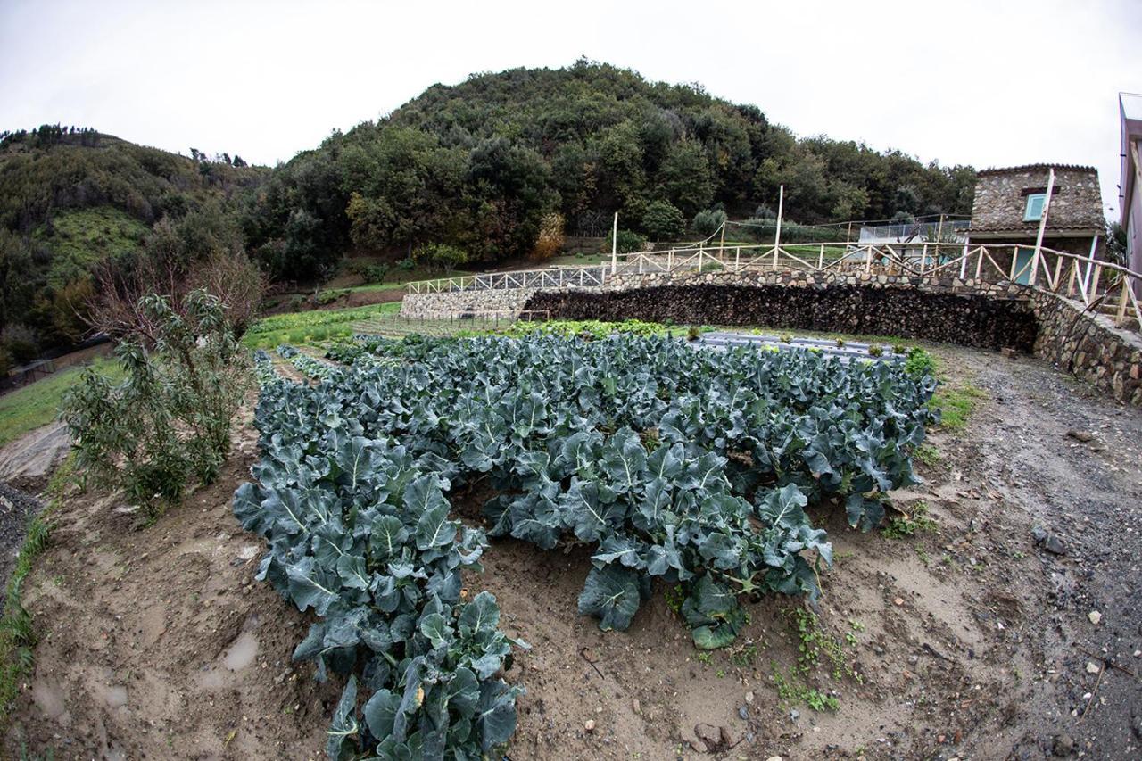 Borgo Rosso Di Sera - Resort Country Chic 산 루시도 외부 사진